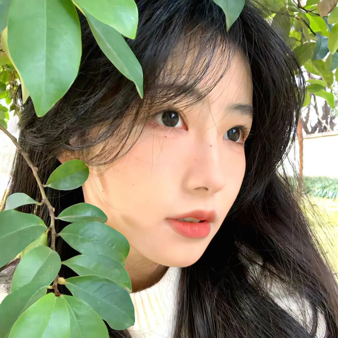 摩托骑士